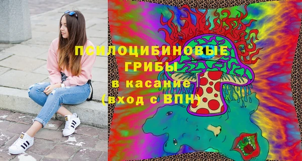 эйфоретик Алзамай